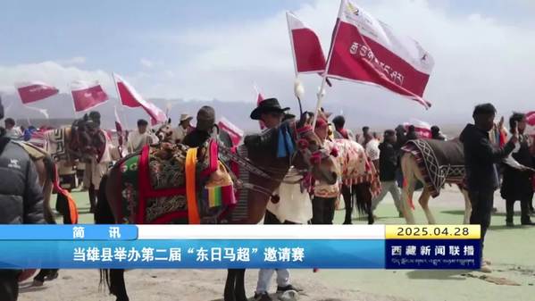 当雄县举办第二届“东日马超”邀请赛