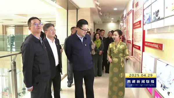 西藏自治区领导以普通党员身份参加所在党支部主题党日活动