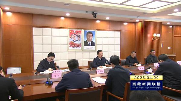 王君正在西藏自治区经济和信息化厅调研