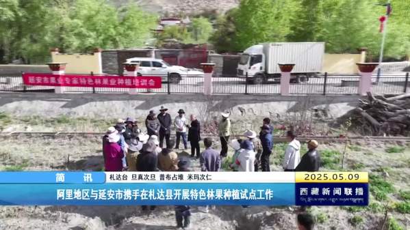 阿里地区与延安市携手在札达县开展特色林果种植试点工作