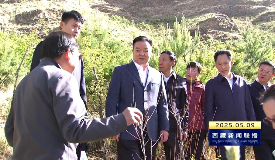 王君正调研南北山绿化工程进展情况