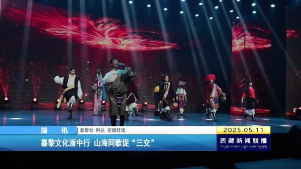 嘉黎文化浙中行 山海同歌促“三交”