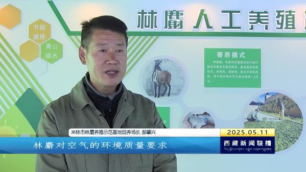 林麝养殖产业蓬勃发展 群众增收致富步伐加快