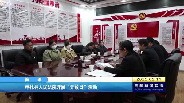 申扎县人民法院开展“开放日”活动