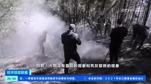 甘肃迭部森林火灾明火已基本扑灭 大风天气加大防火难度