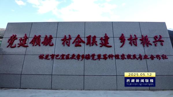 巴宜区首个跨乡镇形式联村党委成立