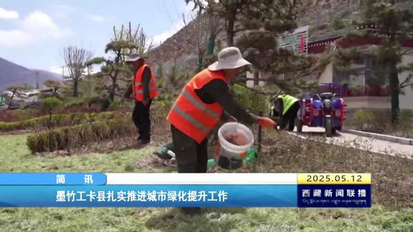 墨竹工卡县扎实推进城市绿化提升工作