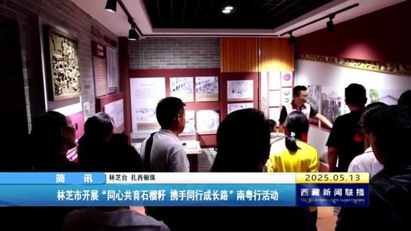 林芝市开展“同心共育石榴籽 携手同行成长路”南粤行活动