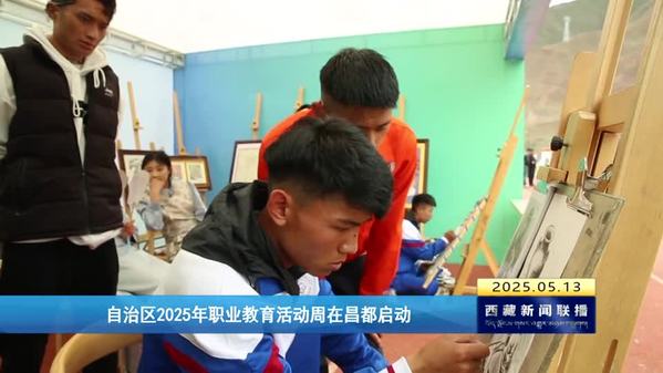 西藏自治区2025年职业教育活动周在昌都启动