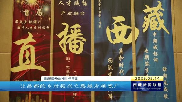 “直播西藏”首届西藏乡村振兴数字人才实训活动在昌都启动