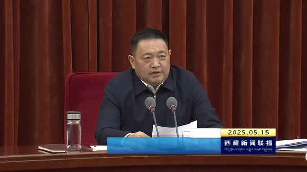 嘎玛泽登主持召开西藏自治区政府党组（扩大）会议暨理论学习中心组（扩大）学习会
