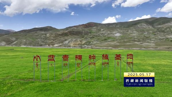 西藏自治区今年力争实现招商引资到位资金500亿元以上