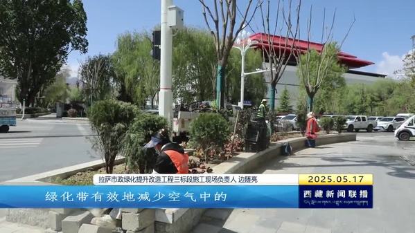 拉萨城市绿化提升改造工程稳步推进