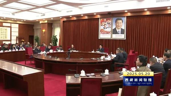 旦巴主持召开第二轮第三批西藏自治区生态环境保护督察动员部署会