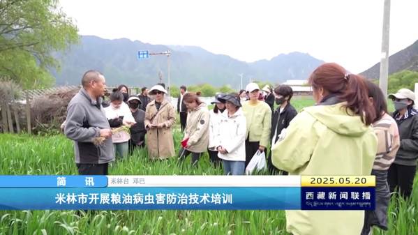 米林市开展粮油病虫害防治技术培训