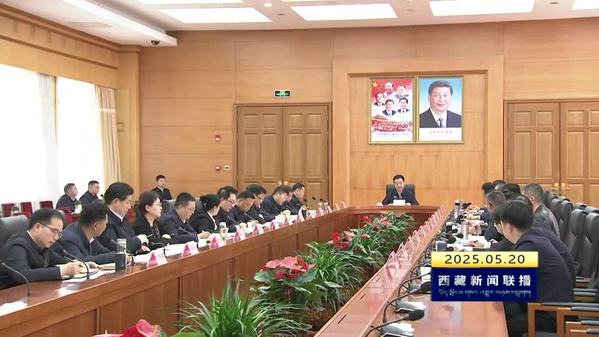 王君正主持召开西藏自治区党委全面依法治藏委员会会议