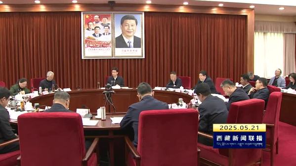 任维在自治区政府专题会议上强调 细化举措提振消费 助推全区经济平稳健康发展