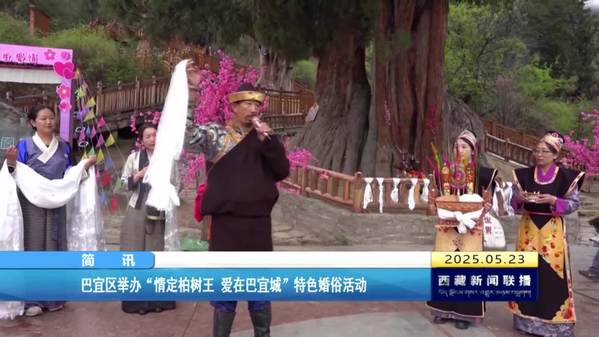 巴宜区举办“情定柏树王 爱在巴宜城”特色婚俗活动