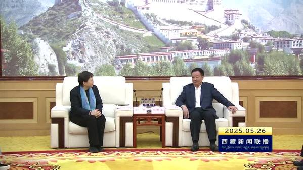 王君正与中国文联党组成员 书记处书记谢力座谈