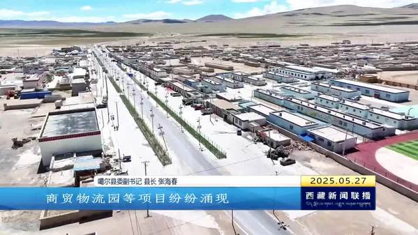 从“一穷二白”走向“百业俱兴”——访噶尔县委副书记 县长张海春