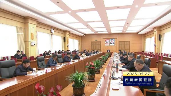 王君正主持召开西藏自治区党委外事工作委员会会议