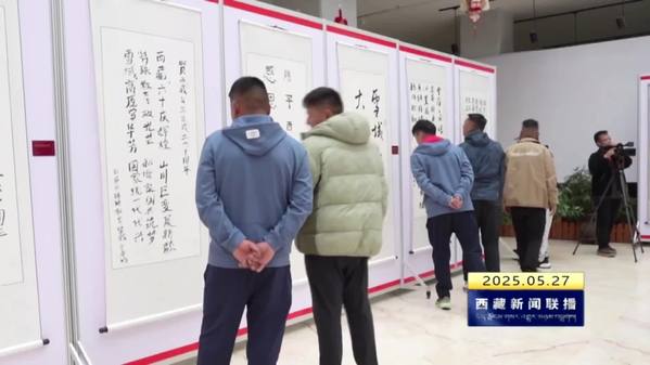 西藏自治区图书馆举办残疾人书法展
