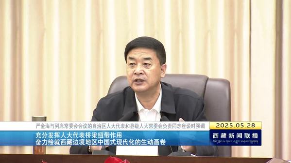 严金海与列席常委会会议的西藏自治区人大代表和县级人大常委会负责同志座谈