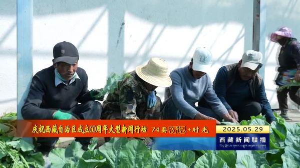 从“靠天吃饭”到“果蔬之乡”——访白朗县委副书记 县长陈锋