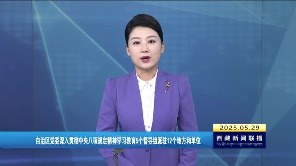 西藏自治区党委深入贯彻中央八项规定精神学习教育5个督导组派驻12个地方和单位