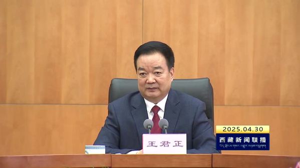 王君正与西藏自治区受表彰的2025年全国劳动模范和先进工作者座谈
