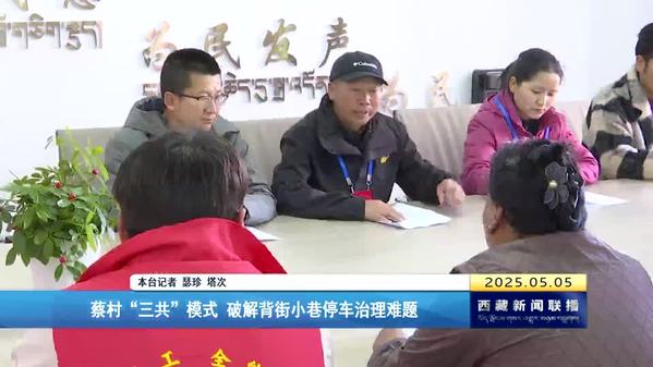蔡村“三共”模式 破解背街小巷停车治理难题