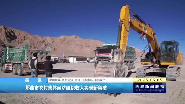 那曲市农村集体经济组织收入实现新突破