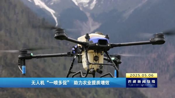 无人机“一喷多促” 助力农业提质增效