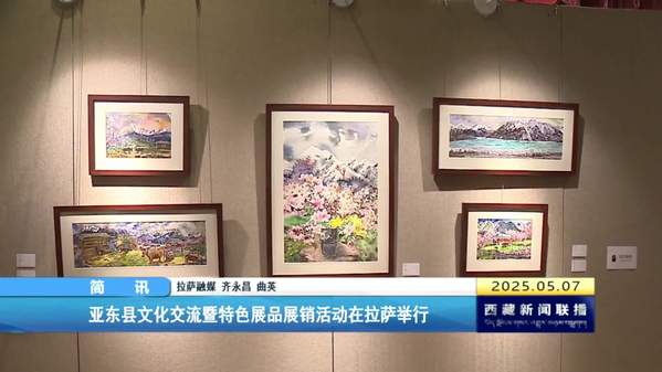 亚东县文化交流暨特色展品展销活动在拉萨举行