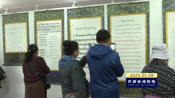 “银龄心向党 墨影谱华章”书画摄影展暨拉萨市离退休干部书画摄影作品展开展