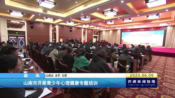 山南市开展青少年心理健康专题培训