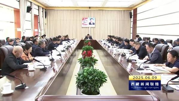 严金海主播召开西藏自治区人大常委会党组理论学习中心组2025年第5次（扩大）学习会