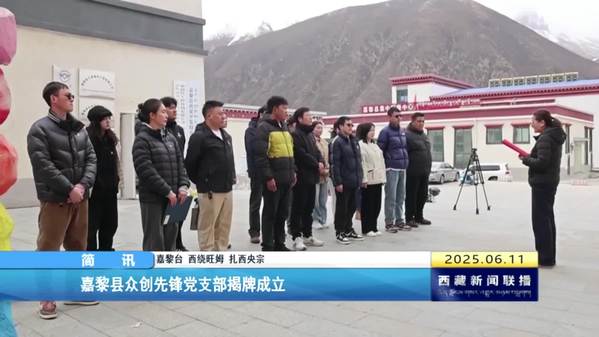 嘉黎县众创先锋党支部揭牌成立