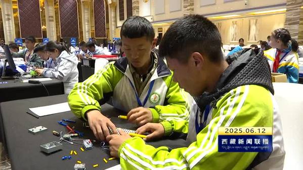 激发创造性思维 提升学生数字素养