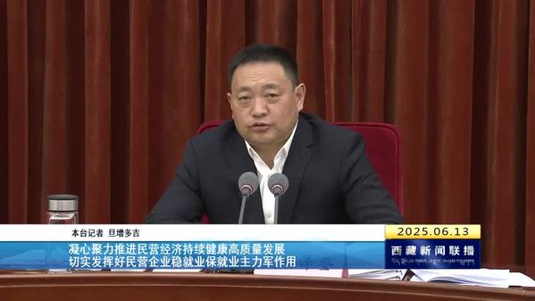嘎玛泽登主持召开2025年民营企业助力西藏籍高校毕业生就业工作座谈会
