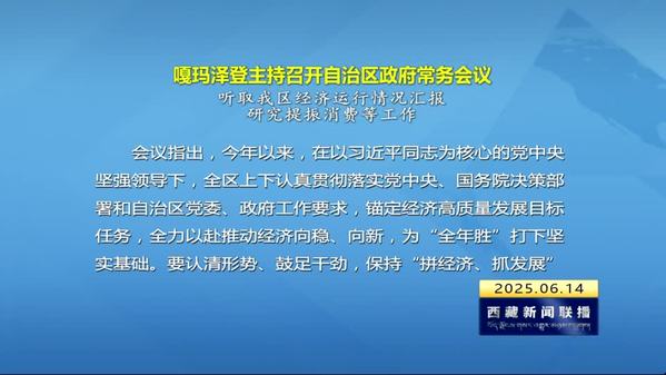 嘎玛泽登主持召开自治区政府常务会议 听取西藏自治区经济运行情况汇报 研究提振消费等工作