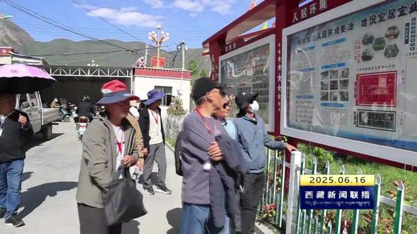 加查县多部门联合开展社会用字专项检查
