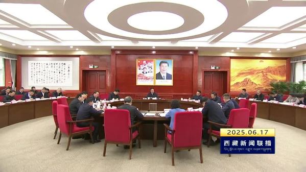 王君正在西藏自治区发展改革委调研并听取自治区“十五五”规划编制工作汇报