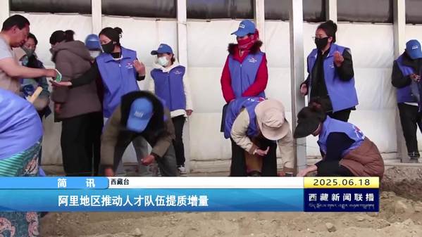 阿里地区推动人才队伍提质增量