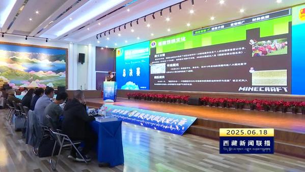 拉萨市第八届青年创新创业大赛圆满收官