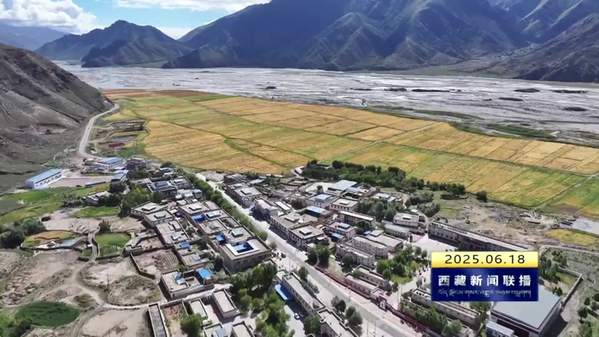 日喀则以数字技术为驱动 不断提升农业发展质量