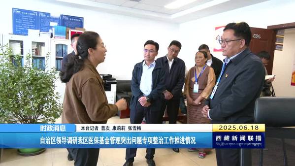 西藏自治区领导调研我区医保基金管理突出问题专项整治工作推进情况