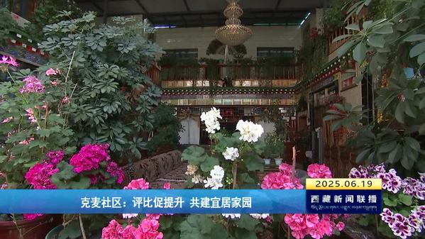 克麦社区：评比促提升 共建宜居家园