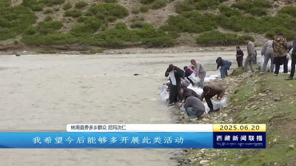旁多水利枢纽库区开展水生生物增殖放流活动