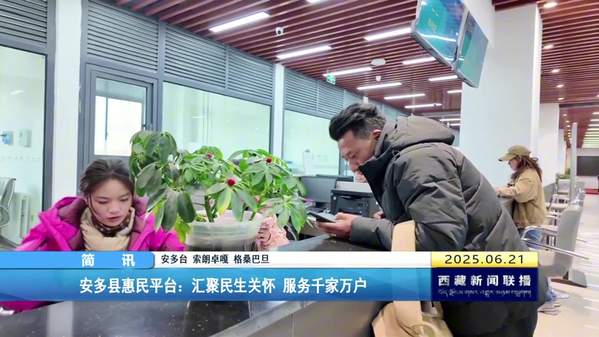 安多县惠民平台：汇聚民生关怀 服务千家万户